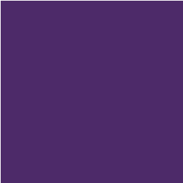 Chiffon Dark Purple